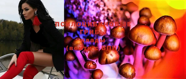 молекула духа Бронницы