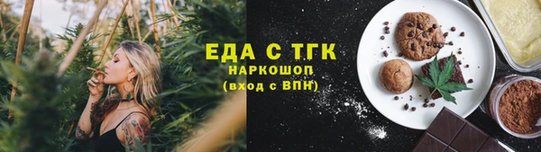 шишки Бородино
