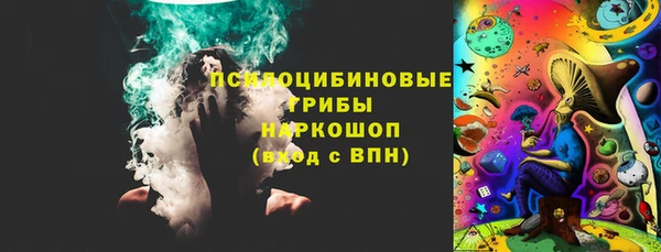 шишки Бородино