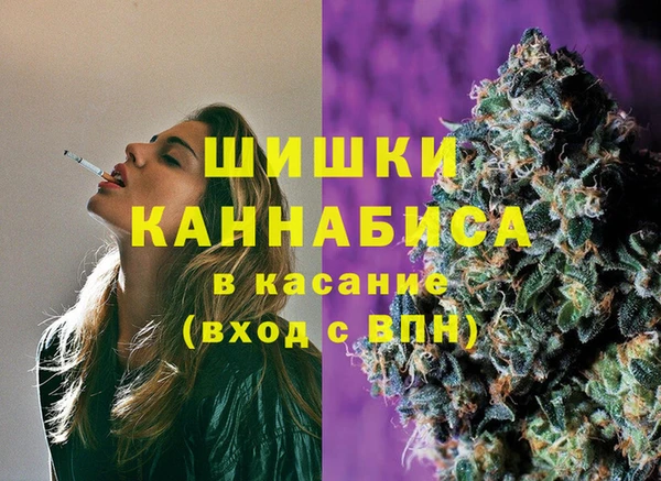 шишки Бородино
