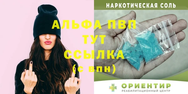 шишки Бородино