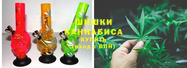 PSILOCYBIN Верхний Тагил