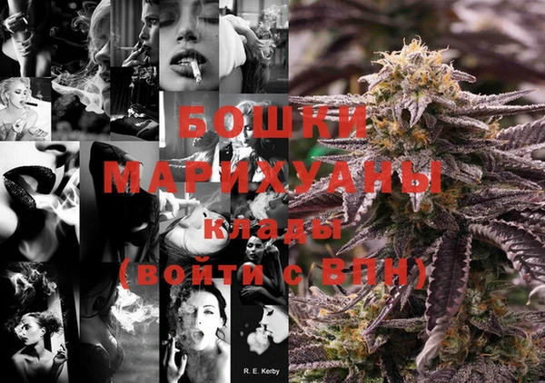 PSILOCYBIN Верхний Тагил