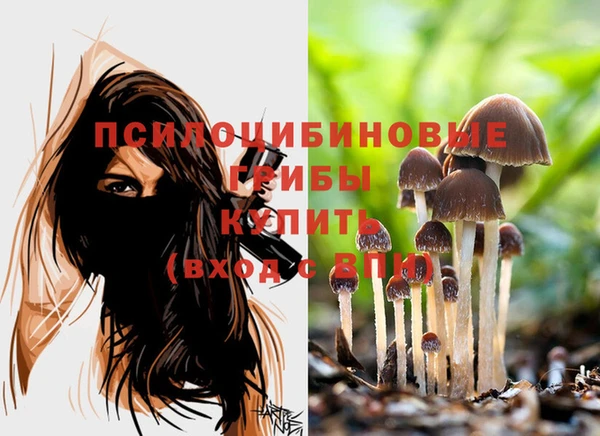 молекула духа Бронницы