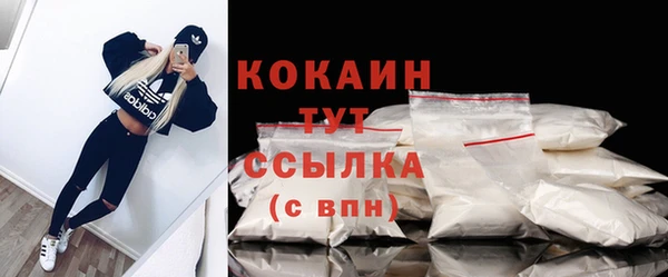 шишки Бородино