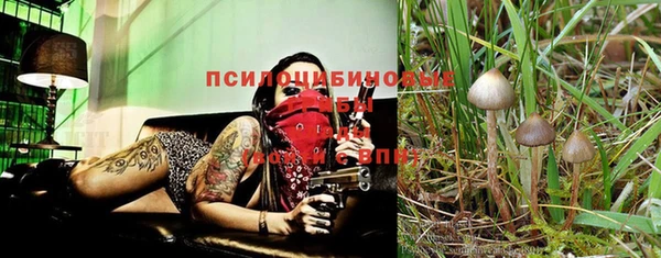 шишки Бородино
