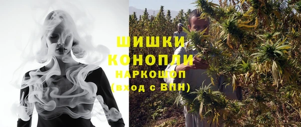 шишки Бородино