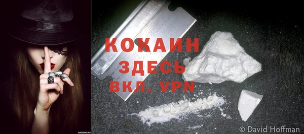 PSILOCYBIN Верхний Тагил