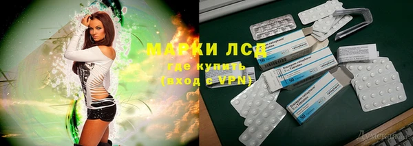 PSILOCYBIN Верхний Тагил