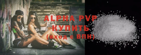 шишки Бородино