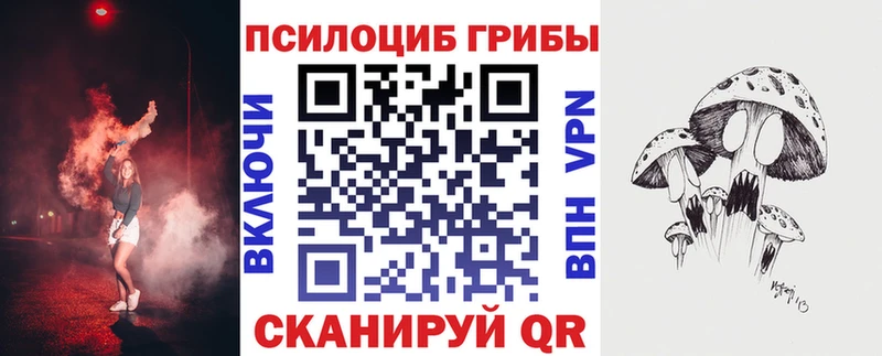 Псилоцибиновые грибы прущие грибы  Горно-Алтайск 